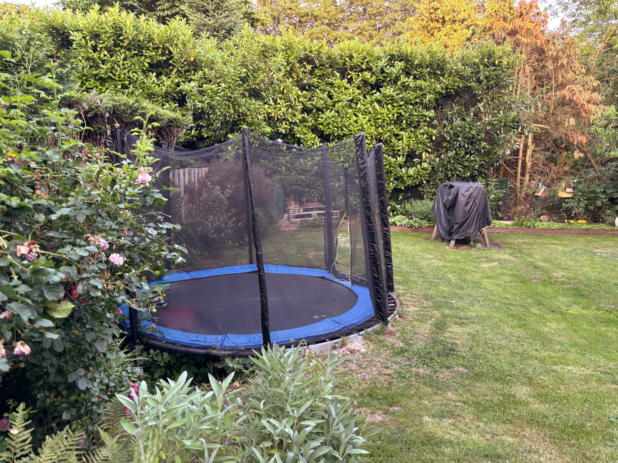 Spaß auf dem Trampolin im Garten